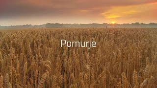 Pomurje - Kjer vse raste! (Predstavitveni film)