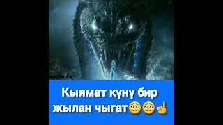 Кыямат күнү бир Жылан  чыгат