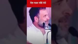 Rahul Gandhi on PM Modi: पीएम को आखिर क्यों कहा पनौती | in24news