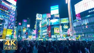 [4K HDR | Tokyo] Shibuya Night Walk | 渋谷 夜散歩