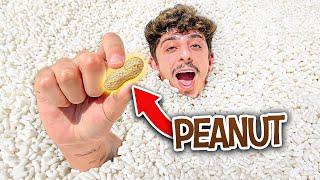 Find the REAL Peanut in 1,000,000 Packing Peanuts Pool