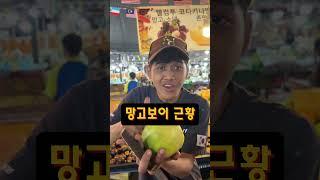 우리 망고보이 최신버젼 #삐끼삐끼 까지 배웠다니 업데이트가 빠르네#망고보이 #필리피노마켓 #1kg에25링깃#코타키나발루