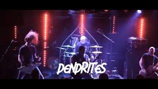 DENDRITES - Throwing Rocks (Official Music Video)