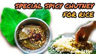 Spicy and tasty side dish for rice | Colocasia leaves chutney recipe |  Arbi / taro chatni