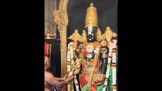 Live tirupati lord balaji aarti viral lord balaji status#subscribe#viral