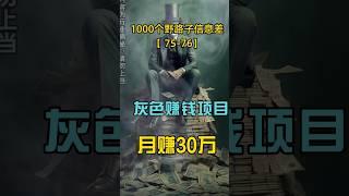 灰色网赚项目，月赚30万 #shorts #网赚 #赚钱