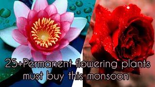 25+Permanent flowering plants must buy this Monsoon@all season gardening.