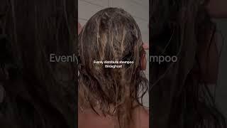 How to Properly Shampoo Your Hair Using L'Oreal Metal Detox Shampoo | Healthy Hair Tips | Pommeshop