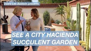 See a City Hacienda Succulent Garden