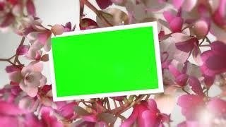 Flowers Wedding Romantic Video Slideshow Video Titles Presentation | FREE TO USE | iforEdits
