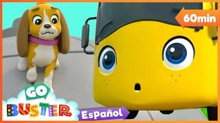 Héroe Buster Salva al Cachorro! |  1 HORA de Go Buster en Español  Dibujos para niños