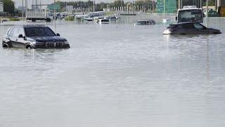 WATCH: Dubai reports highest rainfall in recorded history