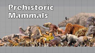 Size Comparison of Animals: the Prehistoric Mammals