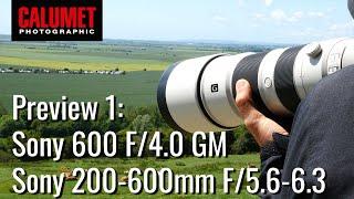 Preview Sony FE 600 / 4.0 GM und Sony FE 200 - 600 / 5.6 - 6.3 G OSS