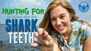 Hunting for 50 MILLION year old Shark Teeth!!! | Maddie Moate