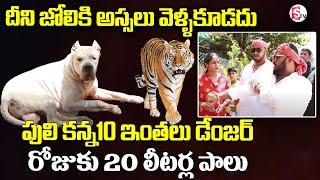 Madhu Yadav Mini Zoo Tour In Farm House | Wedding Invitation Cards In Helicopter | SumanTV