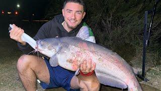 How to catch big blue cats at Calaveras lake