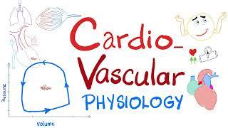 Cardiovascular Physiology - Pressure-Volume loops, Cardiac Cycle, ESV, EDV, SV, CO, Starling Law