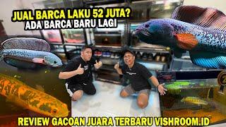 JUAL BARCA GONDRONG 52 JUTA KEMALAYSIA? REVIEW KOLEKSI CHANNA JUARA VISHROOM.ID