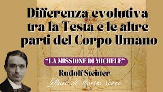 Differenza evolutiva tra Testa e restante parte del Corpo umano- LA MISSIONE DI MICHELE-R. Steiner