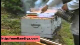 Разведение пчел (часть 1).mp4