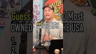 Top 10 Most Owned Pets In The USA! #shorts #pets #animals #dogs #cats #top10 #guessinggame