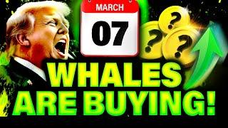 White House Crypto Summit: Whales Are Buying These 3 Altcoins BEFORE March 7