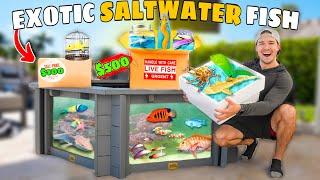 $100 vs $500 SEA CREATURE Mystery FISH Box For My SALTWATER PONDS! (shopping spree)