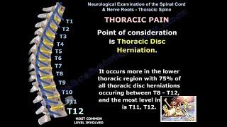 Neurological Evaluation Of The Thoracic  Nerves - Everything You Need To Know - Dr. Nabil Ebraheim