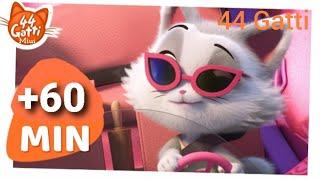 44 Gatti Miui | 60 Minuti di Momenti gattastici # 4 | 
