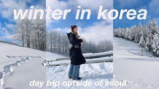 life in korea vlog  a snow day on a sheep farm outside of seoul and developing film