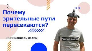 Почему зрительные пути пересекаются? Теория Somatic Twist