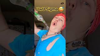 Uwu Sigma  Brain Rot Super Hero Edition #shorts #memes #funny