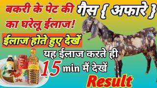 बकरी के आफरे का घरेलू ईलाज/bakri ke aafre ka gharelu ईलाज/goat bloat treatment#goatfarming #farming