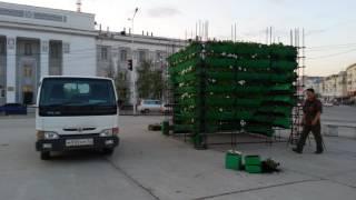 Белые ночи: Озеленение Якутска.