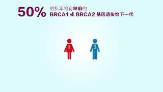 3. BRCA1 和 BRCA2 乳腺癌和卵巢癌抗癌基因