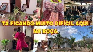 TA DIFICIL AQUI NA ROCA | O GADO JA PECISA DE  RAÇÂO O VENTO TA SECANDO TUDO+ROTINA DE DONA DE CASA