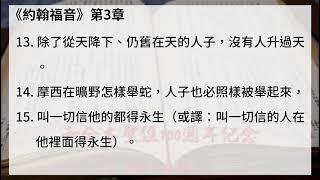 #43【約翰福音】【有聲聖經字幕版】中文和合本聖經100週年紀念