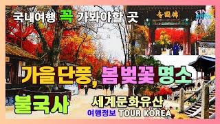 (국내여행) 경주 불국사 여행. 가을엔 단풍명소 봄엔 벚꽃 명소 | 국내여행지best | 4월,5월,10월,11월에 가볼만한곳