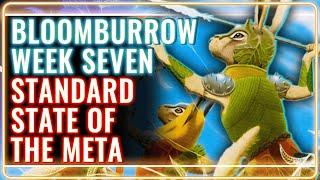 MTG Standard Decks Tier List for Bloomburrow Week 7 | MTG Rebellion