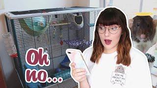 Reacting to my old rat care and first cage setup...