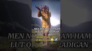 Untitled video