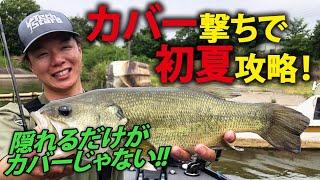 【伊藤巧】カバーはお皿!? タクミ流カバー撃ちの基本を徹底指南!! 初夏の利根川を攻略！