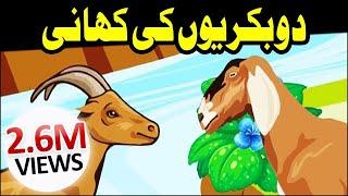 3D Cartoon Video ┇ 2 Bakriyon Ki Kahani ┇ Urdu Cartoon Kahani ┇ Kids Corner