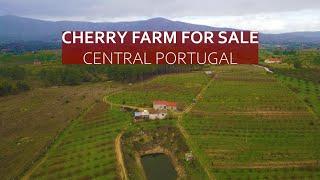 3 HECTARE TURNKEY CHERRY FARM IN CENTRAL PORTUGAL - HOMESTEAD FOR SALE, FUNDAO