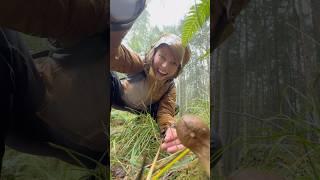 This mushroom goes POOF: Puffballs! 