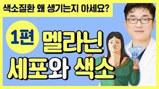 [닥터리스의원] 색소질환#1 멜라닌세포와 색소