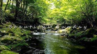 Relaxing Piano Music - "Beautiful Sunday" ⏺ Sleep Music, Meditation, Calm, Stress Relief, Spa, Yoga