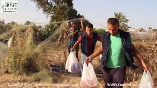 GAZA DAILY IFTAR MEALS PART 4 - RAMADAN 2016