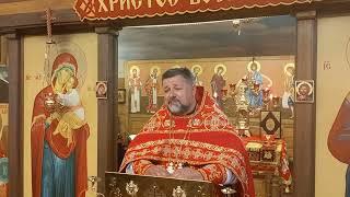 Исцеление слепого. прот. Вячеслав Яковенко